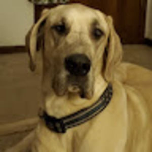 Meet your Posher, Sabrina